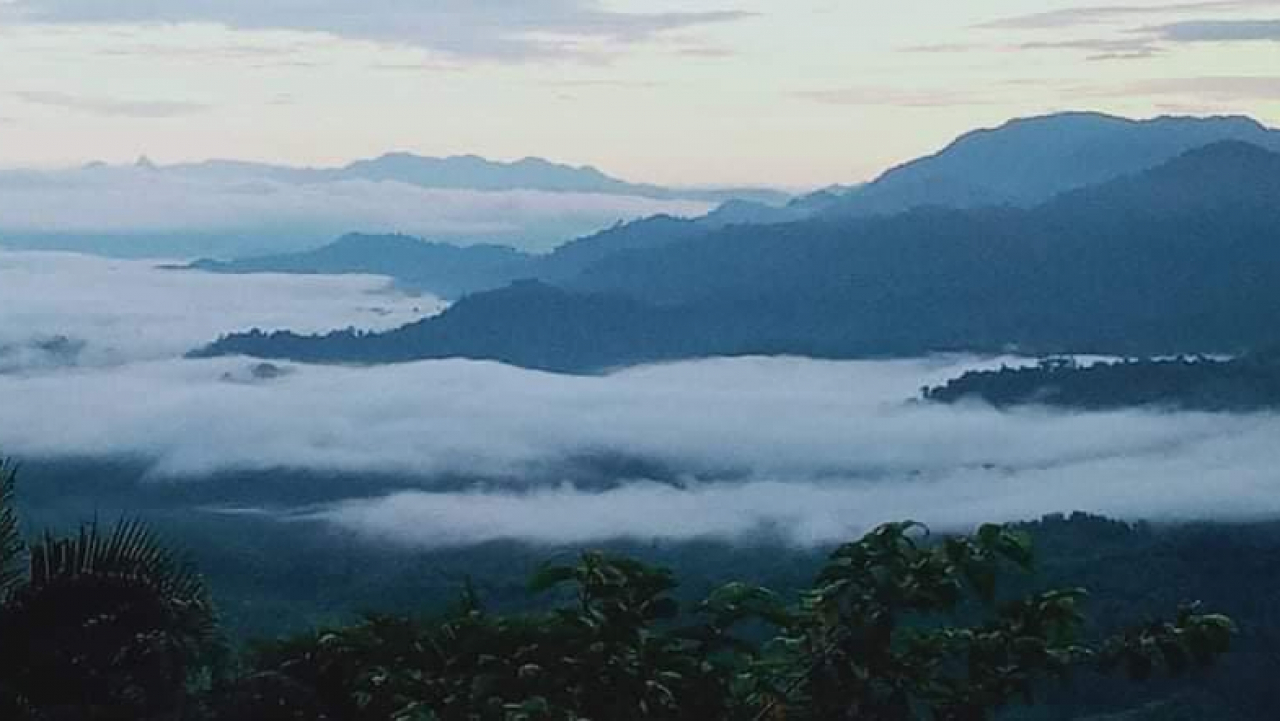 Puncak Tante Bojo
