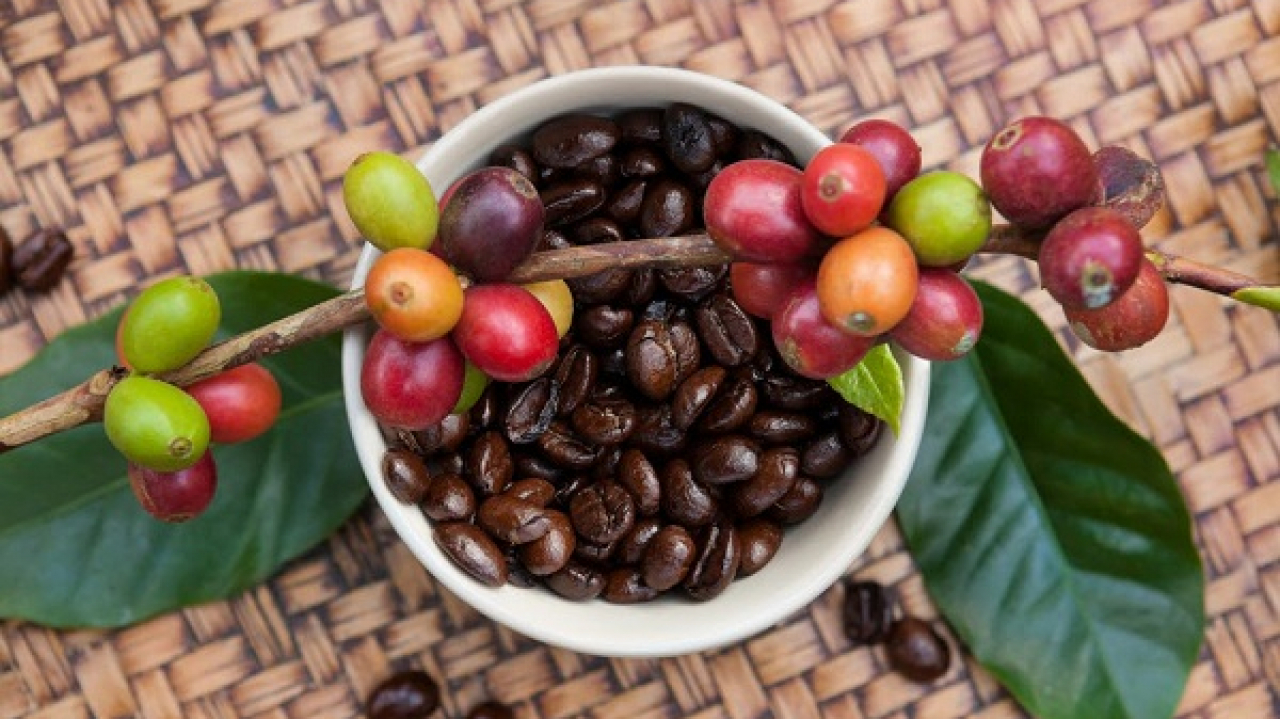 Kopi