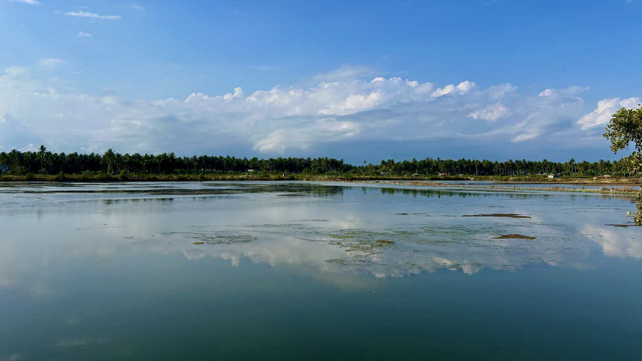 Tambak Ikan dan Udang