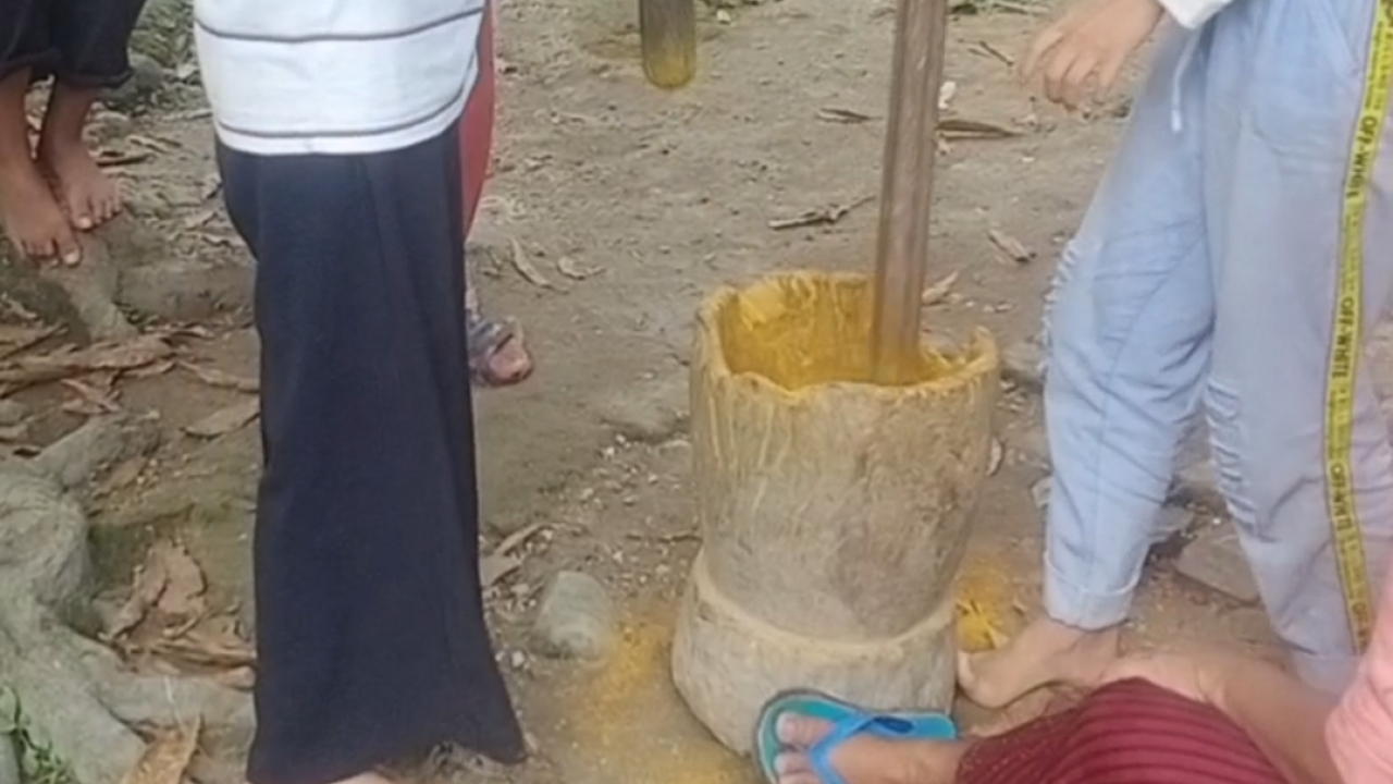 Ekonomi Kunyit Tradisional di Desa Banua Adolang, Majene (2025-05-12)