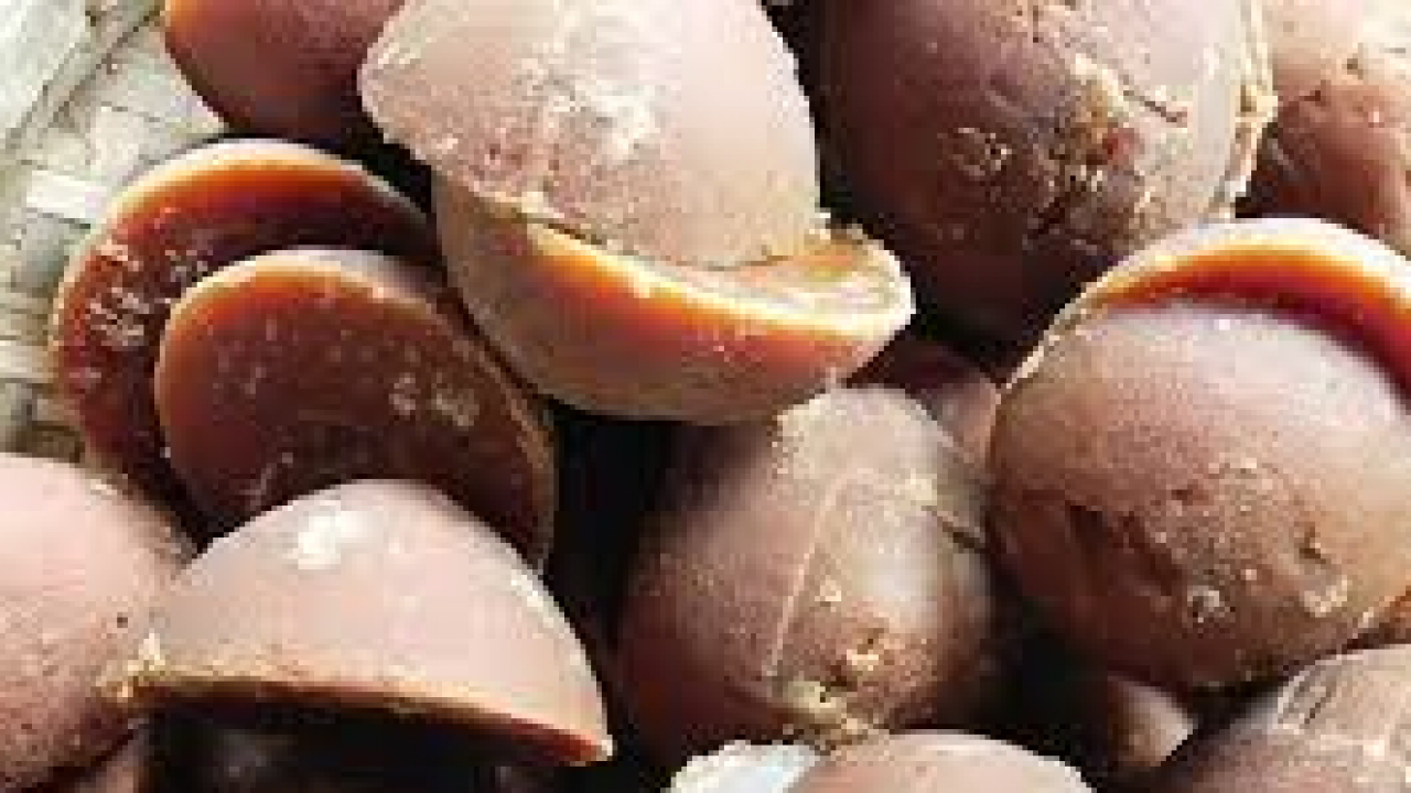 Gula Aren
