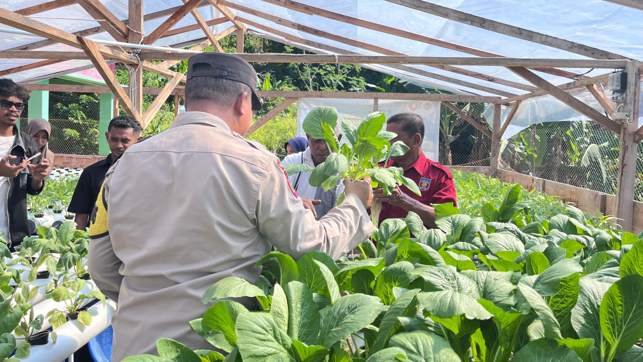 Panen Hidroponik Siri Sori Islam: Bumneg Hinaratu Berjaya