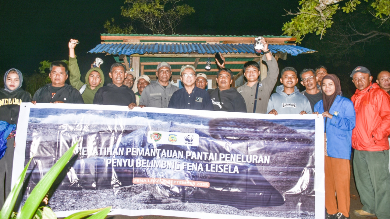 Kegiatan Malam Hari: Peserta Pelatihan Ikuti Monitoring Pantai Peneluran Penyu Belimbing di Wamlana