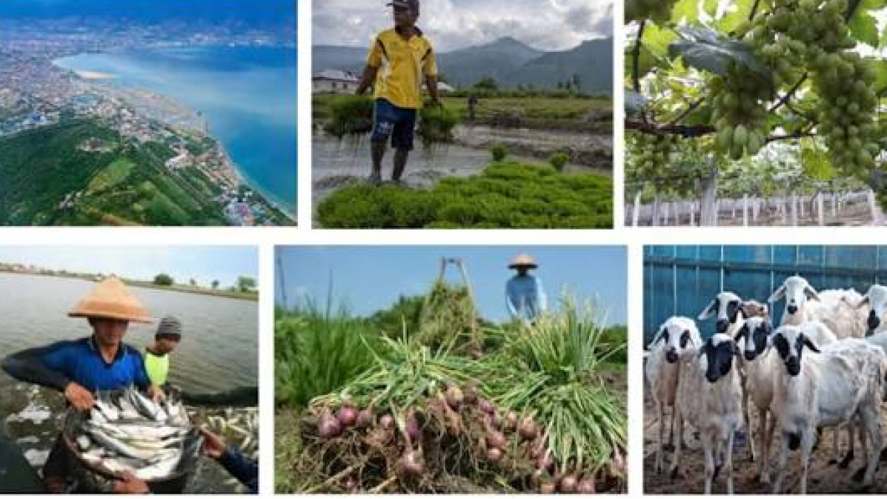 PERIKANAN & PERKEBUNAN