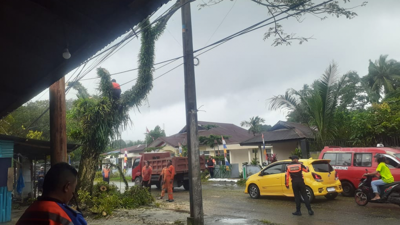 Penebangan Pohon di sejumlah titik ruas Jalan Raya di Negeri Passo demi Menjaga Keselamatan para pengendara dalam kondisi cuaca Ekstrim.
