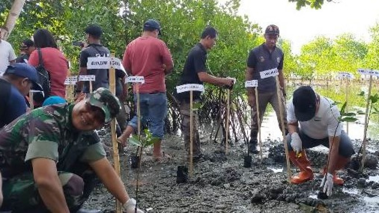 Aksi Kolaboratif Pemerintah Kota Ambon dan Desa Nania: 1000 Mangrove Ditanam untuk Lingkungan Bersih"