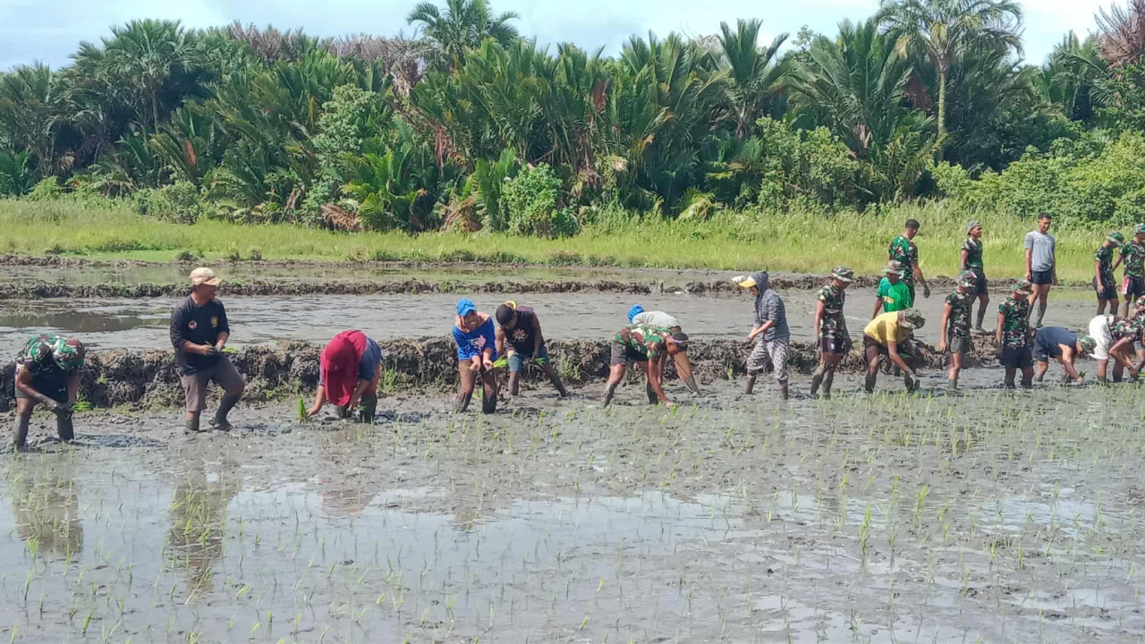 TNI dan Pemdes Sangowo Barat Penanaman Padi Perdana