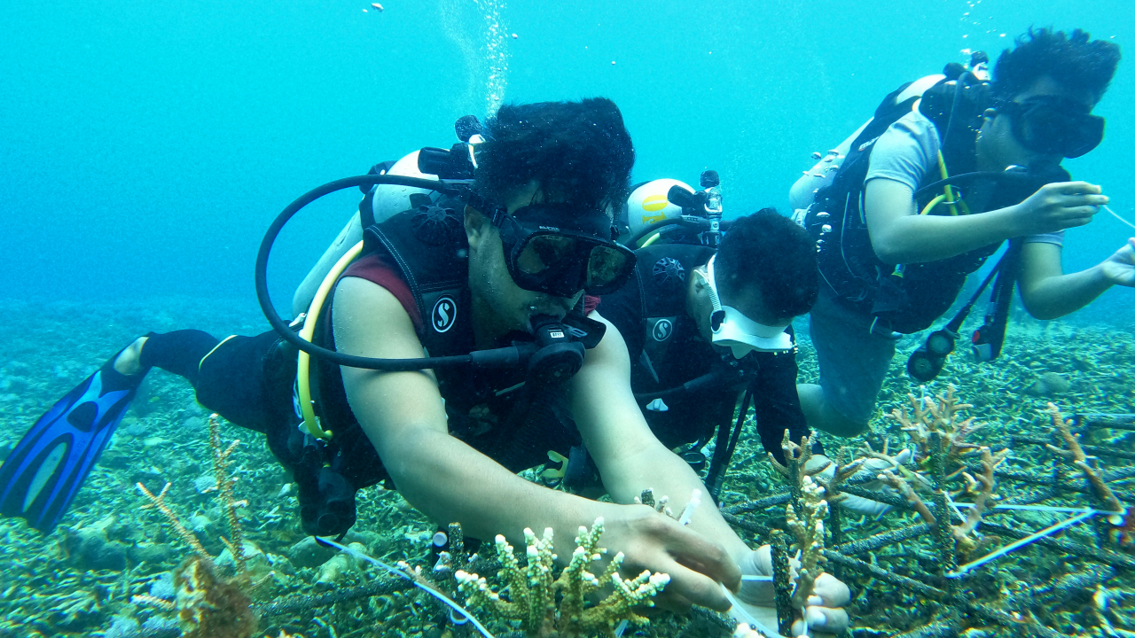 Wisata Bawah Laut Pasimayou - Maitara Selatan