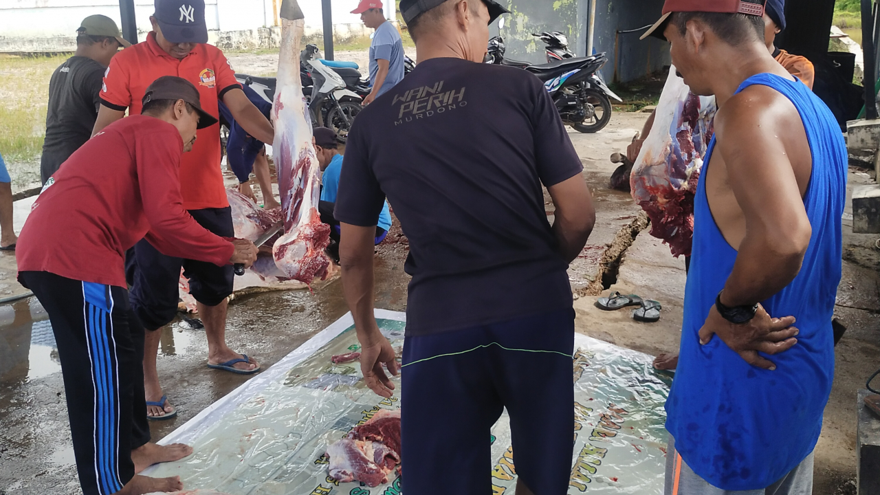 Pemotongan heban qurban ke 2 (dua)