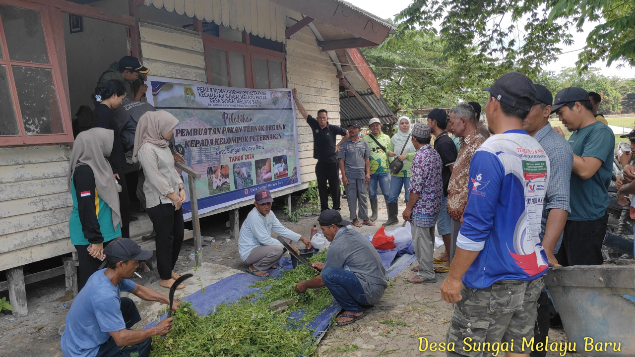 Desa Sungai Melayu Baru Gelar Pelatihan Pakan Ternak Fermentasi, Menuju Swasembada Pangan 2025