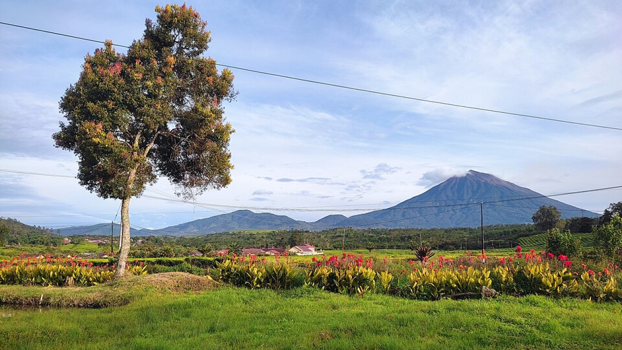 Desa Adijaya: Surga Tersembunyi untuk Liburan Damai